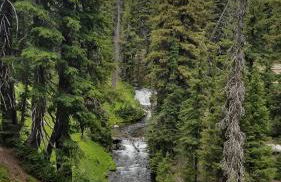 Mt. Bachelor & Sun River Get Away - Foto 60