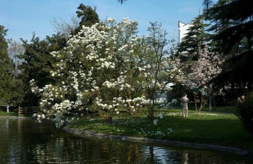 Al Lago dei Cigni - Foto 29