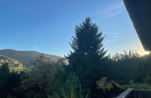 L'Impasse 2-6 personnes, spa, cheminée et piscine en été - Foto 20