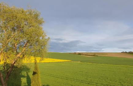 Weißwein Apartment - Foto 9