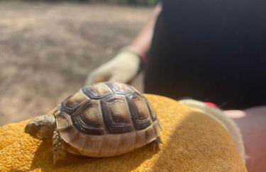 LA PIANA Holiday House - Foto 60