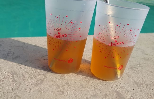 Domaine de la Vaudourière - Photo 55