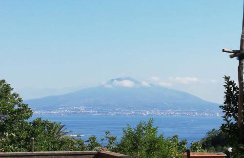 Flai Home - Photo 48