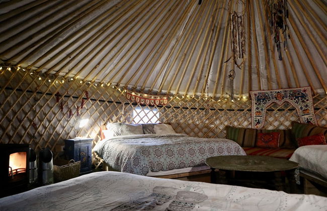 Hapus Yurt - Two Beautiful Yurts and Barn Cottage - Foto 7