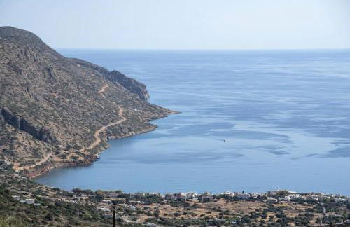 Falcon Villa - Foto 16