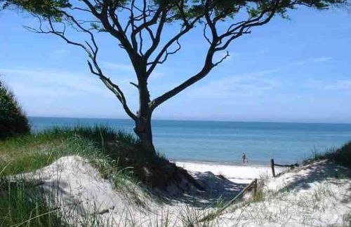 Ferienwohnung Bernsteinsucher städtische Bestlage - Foto 14