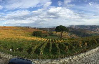 Quinta dos Espinheiros - Photo 21