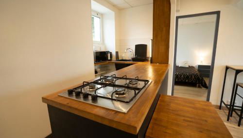 Maison centre ville 50m2 - Jardin - L'atlas Zen - Foto 5