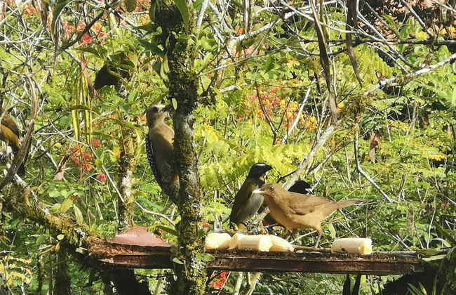 Las Cabanas - Foto 76