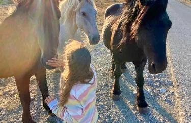 CASA MONTE - Foto 68