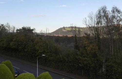 3 Trem Y Dolydd - Foto 26