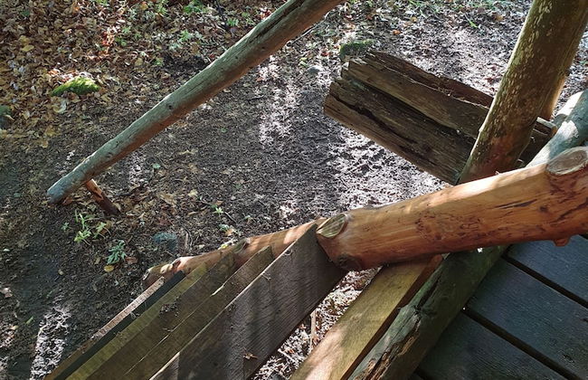 Timmerkoja på Österlen - Foto 15