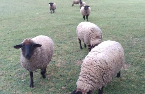 Ático Rosita en Camino de Santiago - Foto 21