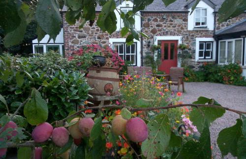 Berwick Hall Cottage - Foto 18