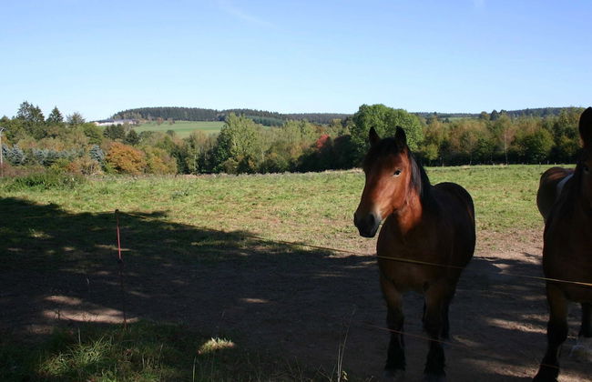 House in the Belgian Countryside, Ideal Base for Many Fine Excursions - Foto 39
