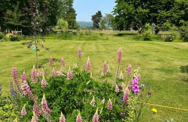 Little Lodge on the Yorkshire Wolds - Foto 7