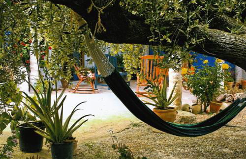 Casa Rural Aloe Vera - Foto 20