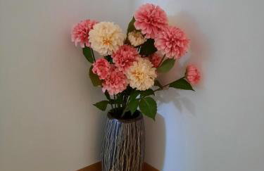 Apartment IUSTUS PINUS - Foto 20