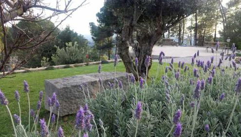 Quinta da Idalina - Foto 5, Garden