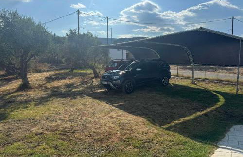 Blue & Green - Foto 35