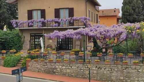 Il Glicine - anemone - Foto 3