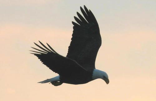 Casa Playa - Foto 31