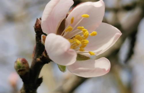 Agriturismo Mondo - Foto 30