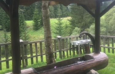 Vacanze in VALVISDENDE - Photo 12