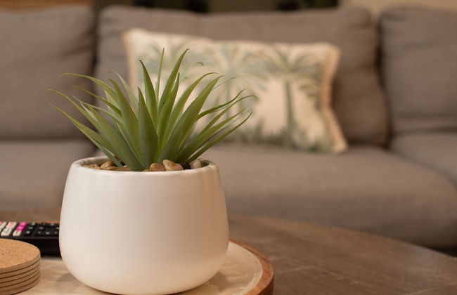 Tropical Bliss - Cairns 9 Pools BBQ Gym - Foto 14