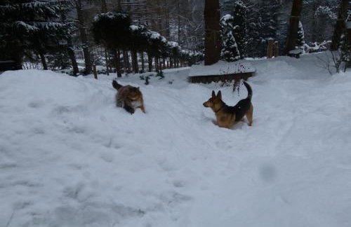 Agroturystyka u Psotki - Foto 10