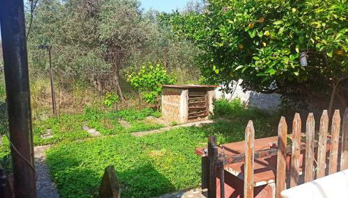 Zephyr Guest House - Foto 4, Garden, Garden view