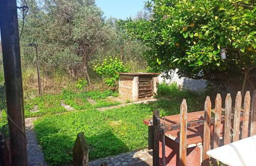 Zephyr Guest House - Foto 4