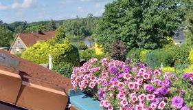 FeWo Wardersee - Foto 3