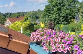 FeWo Wardersee - Foto 3