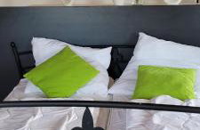 FeWo im Torbau - Foto 10