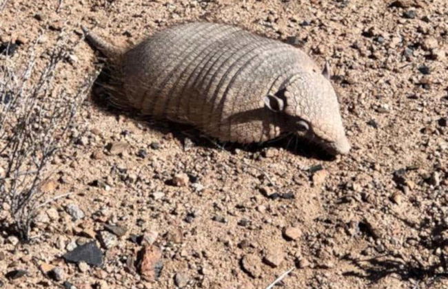 Escursione privata ai funghi di Tocota - Foto 4