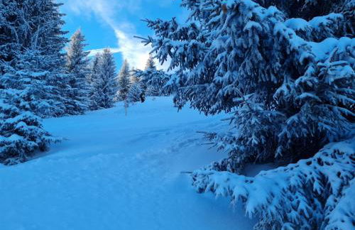 Ferienwohnungen Wagenstaller - Foto 50