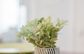 Cozy Condo, Minutes from Sunday River - Foto 22