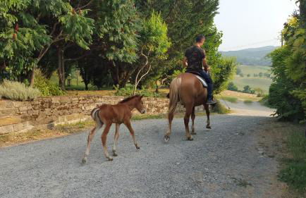 Agriturismo Corte del Gallo - Foto 5