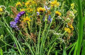 Siedlisko Szwałk - Foto 19