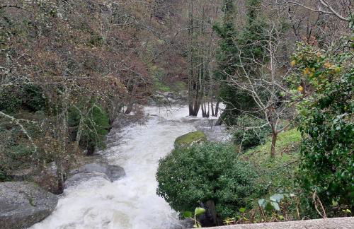 Puente Canto de Gredos - Photo 68