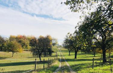 Schwarzwald Boutique-Apartment HAUS REHGARTEN - Foto 54