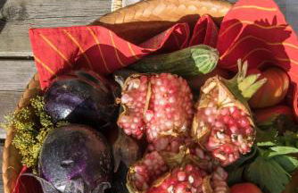 Agriturismo La Coccinella - Foto 53