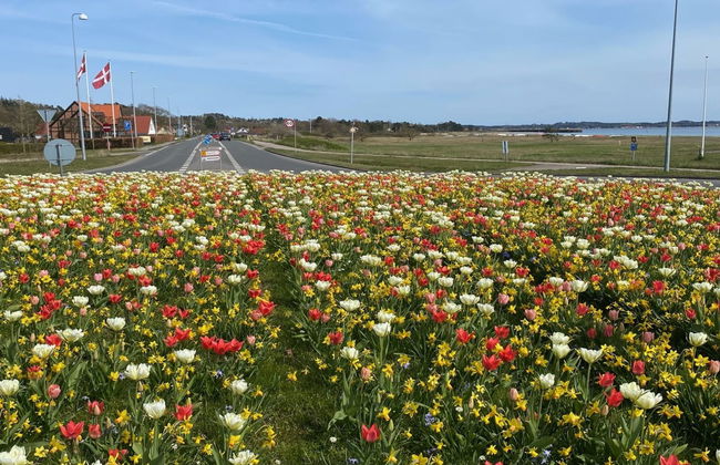 "Athisl" - 800m from the sea - Foto 4