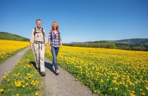 Apartment Near ski Area in Wehrstapel in Sauerland - Foto 125
