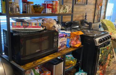 Carlton Cabin at Lake of Egypt 500 Sq Ft - Photo 10