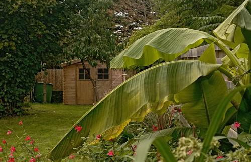 Gîte chaleureux à Assérac, proche mer, jardin privé, wifi - FR-1-306-1285 - Foto 13