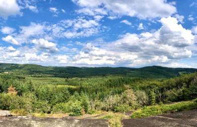 Le Gîte du Lotus Corrézien - Foto 28