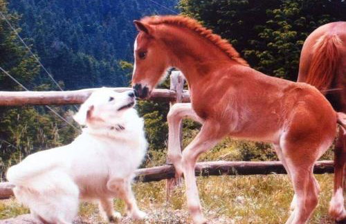 Elati Hills - Photo 52