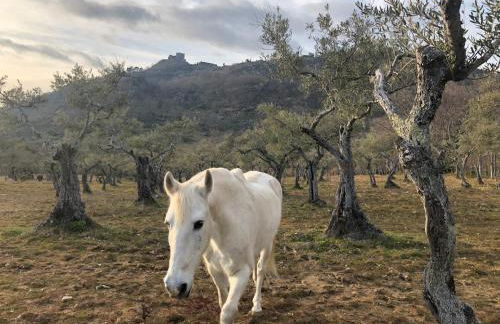 El Balcon de Los Sueños - Foto 34